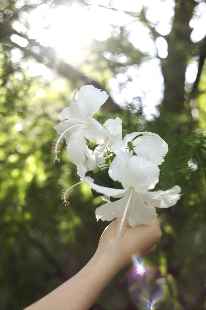 13_WHITEFLOWER.jpg