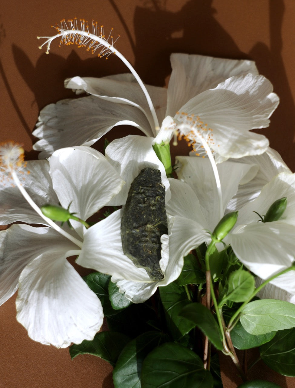 包種烏龍 茶磚禮盒｜台灣造型・6入