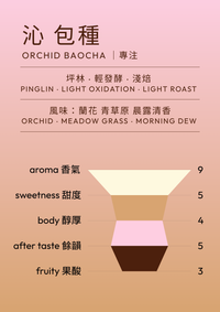 沁 · 包種烏龍｜茶包6入方盒