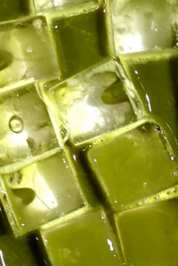 包種烏龍茶粉