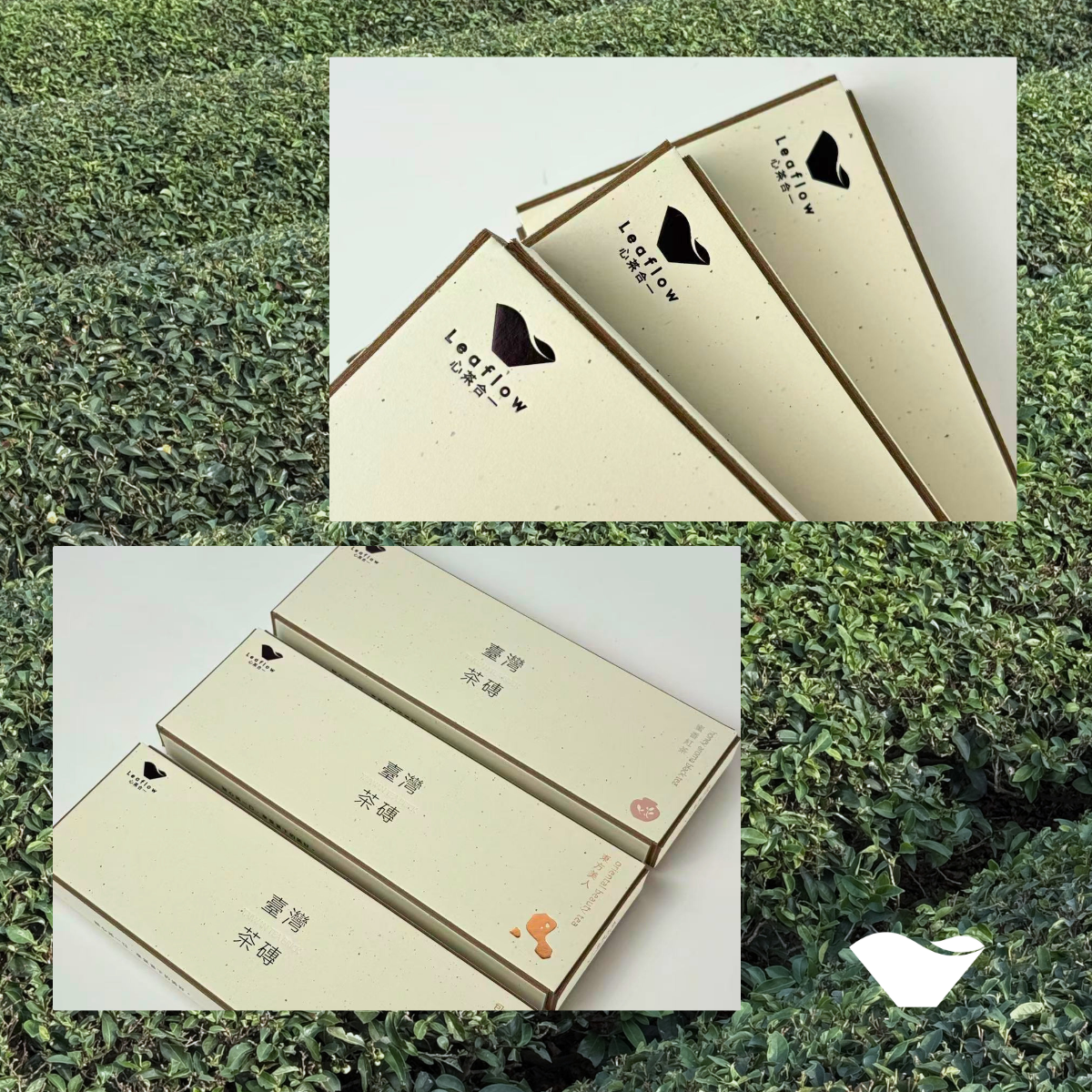 Taiwanese Tea Brick Gift Box | 6 pcs